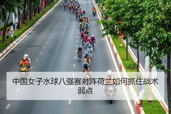 中国女子水球八强赛对阵荷兰如何抓住战术弱点