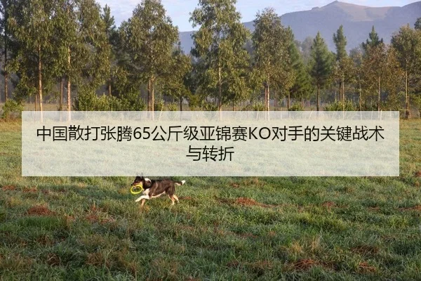 中国散打张腾65公斤级亚锦赛KO对手的关键战术与转折
